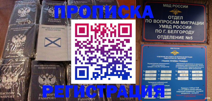 прописка гарантия в Воронежской области